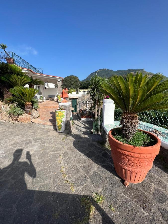 Blu Panorama Bed and Breakfast Forio di Ischia Eksteriør billede
