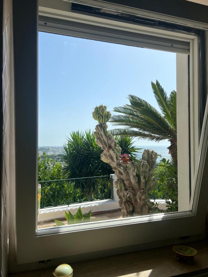 Blu Panorama Bed and Breakfast Forio di Ischia Eksteriør billede