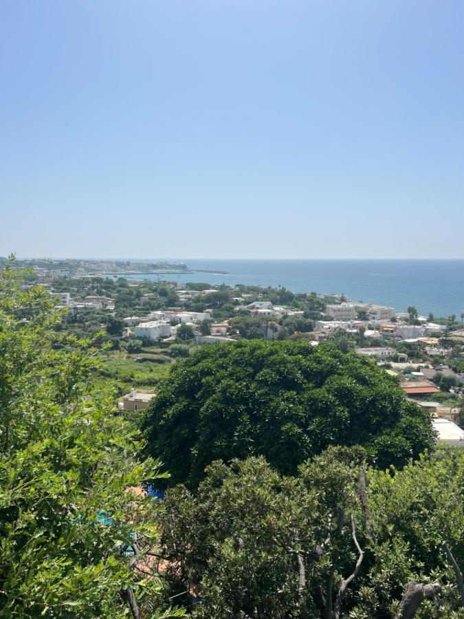 Blu Panorama Bed and Breakfast Forio di Ischia Eksteriør billede