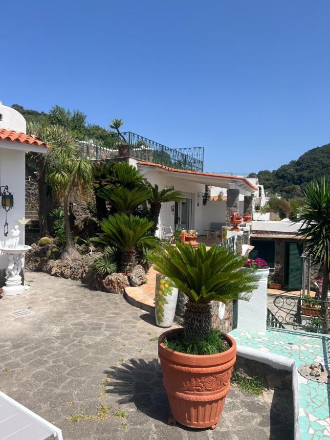 Blu Panorama Bed and Breakfast Forio di Ischia Eksteriør billede