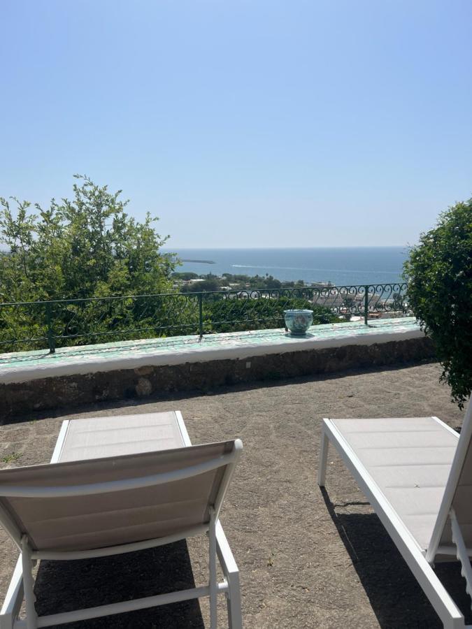 Blu Panorama Bed and Breakfast Forio di Ischia Eksteriør billede